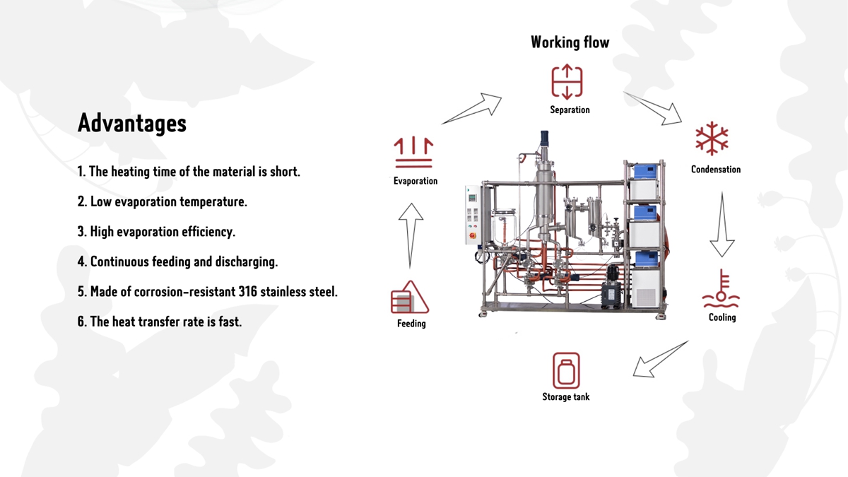 Stainless Steel Molecular Distillation