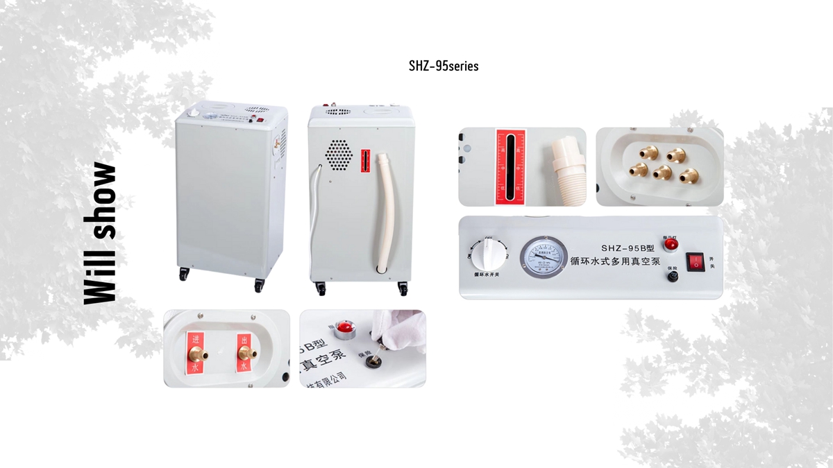 SHZ-95 Circulating water vacuum pump