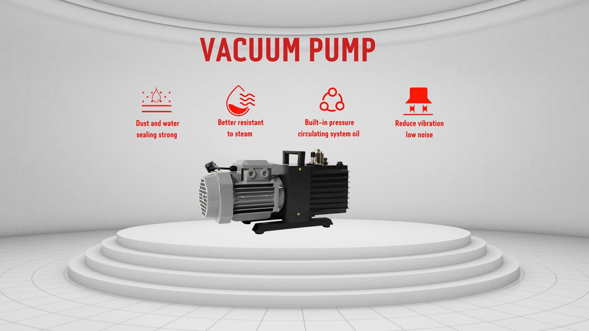 Rotary vane vacuum pump