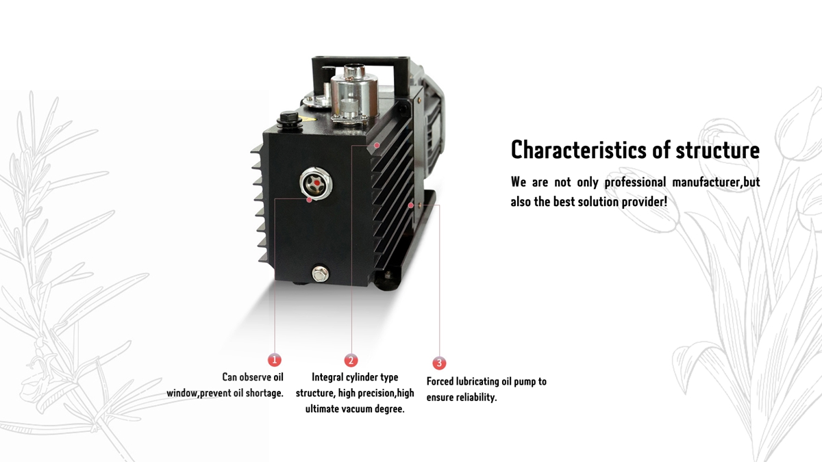 Rotary vane vacuum pump