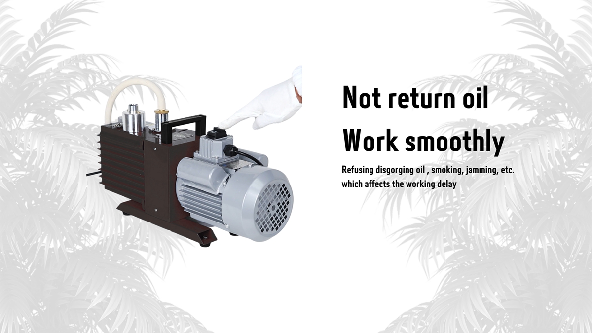 Rotary vane vacuum pump