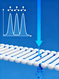 Customized Production