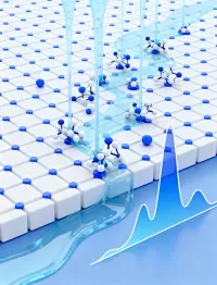 Lifetime Maintenance＆Recondition